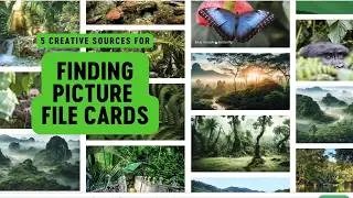 5 Creative Sources for Finding Picture File Cards!