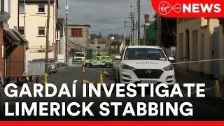 Two men are in critical condition following two separate serious assaults in Limerick