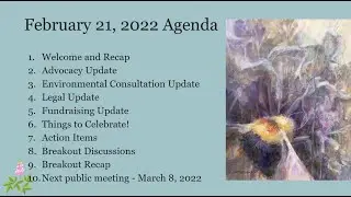 Save Bell Bowl Prairie Public Meeting Zoom Recording 02 21 22
