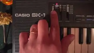 Sampling my voice on a Casio SK-1
