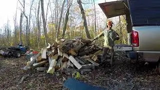 Perfect Day for Cutting Wood