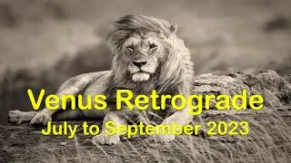Venus Retrograde in Leo July to September 2023 for all 12 Signs