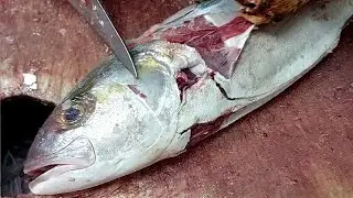 FISH CUTTING | How To Clean Whole Amberjack Easy Filleting