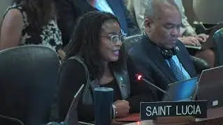 2024 AUG 16 Special Meeting of the Permanent Council