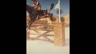 she's so good at jumping! || Rival Stars Horse Racing