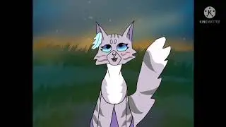 Crowfeather and Feathertail M.A.P. /Part 20 P.M.V./ M.A.P. by Ласточка кв 💜💎