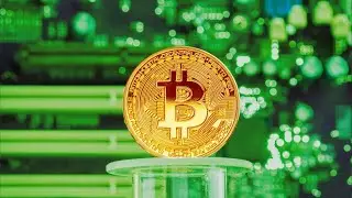 Institutions quietly accumulate Bitcoin as new crypto trends gain mainstream attention