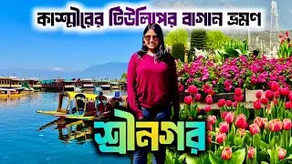 কাশ্মীরের Dal Lake এ শিকারা সাথে সেই বিখ্যাত Tulip Garden ঘুরে দেখলাম !! Srinagar Kashmir Plan 2026