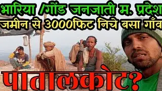 पातालकोट की भारिया जनजाति tribes of patalkot ||bhariya gond tribe||मध्य प्रदेश की जनजाती/trive life