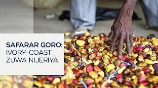 Yadda ake safarar goro daga Ivory Coast zuwa Nijeriya