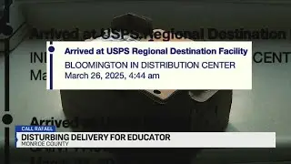 Call Rafael: Baby chicks arrive dead in the mail