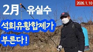 2월엔 