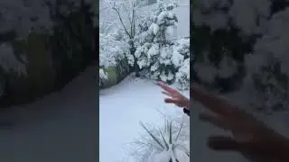 Winter's whisper God's gentle touch 🌨️.in Germany.#share #blessings #shorts #foryoupage #explorepage