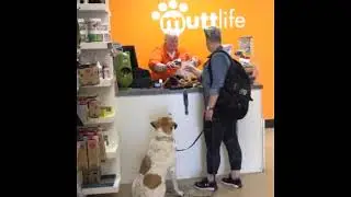 Top 10 Essentials for Hiking with Your Dog