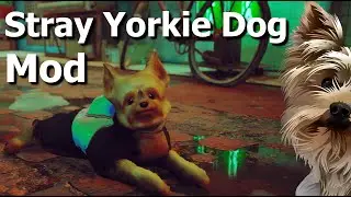 Stray Fifi the Wonder Yorkie Dog Mod with Sneezes and Barks