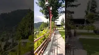 Green Hilton hotel shangla Top Green valley Amazing view