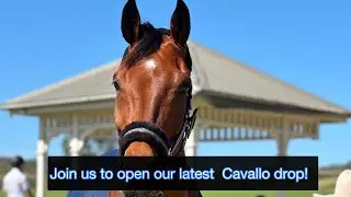 Come and open our latest Cavallo Boots fashion delivery with us !!
