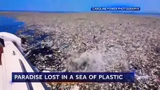 &ldquo;The Earth is Not Your Garbage Can&rdquo; Littering PSA | School Project