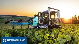 New Holland TE6 Straddle Tractors for Narrow vineyards