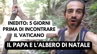 ALLA RICERCA DELL'ABETE DESTINATO AL NATALE DEL PAPA: 