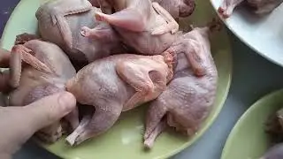 Сравнение тушек перепелов разных пород