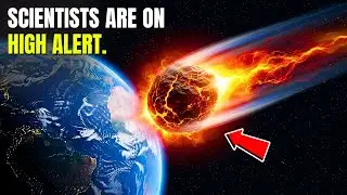 What will happen if an asteroid hits Earth in 2026? Scientists warn