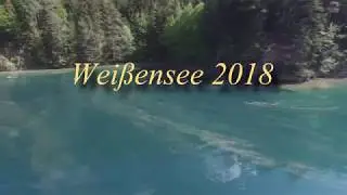 Team Carinthia-Karpfenangeln Weißensee 2018