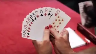 Animated Bridge: The Rule Of 11