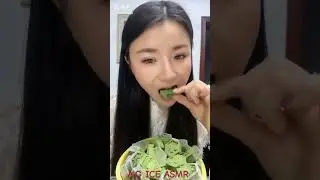 ASMR MATCHA ICE EATING|RELAX VIDEO ONLY BITES|#onlybites #hardice #iceeating #asmr #ice #matchaice