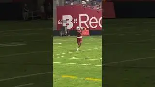More Of Rookie WR Michael Wilson | #shorts #nfl #arizonacardinals