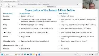 Dr Ye Tun Win_ Dairy Buffalo