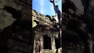 Ta Prohm Temple Or Tomb Raider Temple in Siem Reap Province Cambodia| Please subscribe and like