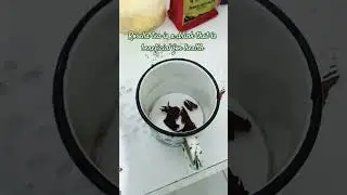Traditional health drink #shorts #short #shortvideo