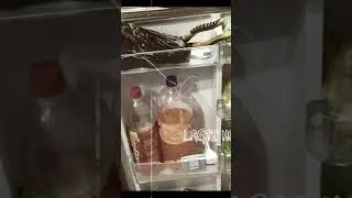fridge ice problem fixing #trending #music
