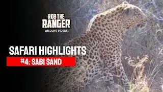 Safari Highlights #4: 10 - 17 May 2009 | Sabi Sand Nature Reserve | Latest #Wildlife Sightings