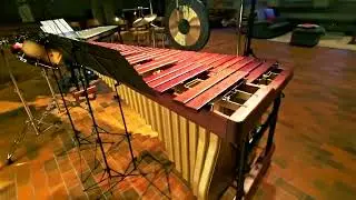 муз.инструменты Yamaha YV-2700 Vibraphone, YM5100A Marimba, Schimmel Piano (S21 Ultra HDR10+ IMX563)