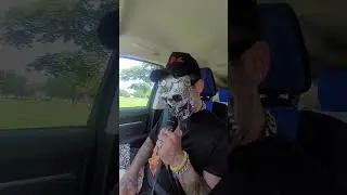 O.M.D.C. trip to the cemetery to smoke with dead homies.