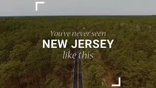Pine Barrens: You've Never Seen New Jersey Like This