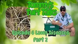 How to Identify and Control Lawn Diseases Part 2