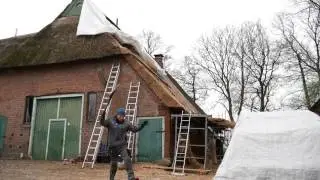 Reetdachdecker