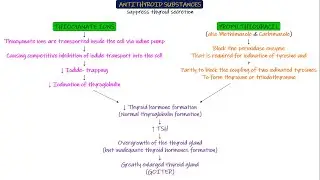 Anti-thyroid drugs. Chapter 77 part 9. Guyton and Hall Physiology.