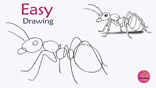 how to draw a ant | ant drawing | how to draw an ant step by step | ant drawing for beginners. | ant