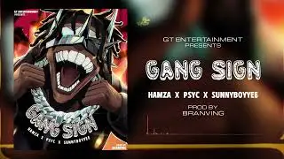 GANG SIGNS (OFFICIAL AUDIO) | HAMZA X PSYC X SUNNYBOYYEE | PROD BY BRANVING | GT ENTERTAINMENT