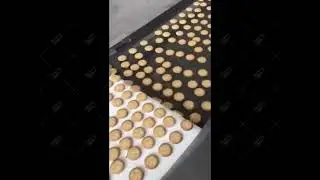 Factory price wire cut cookie make production line offer -- My Only Machine Co,.ltd