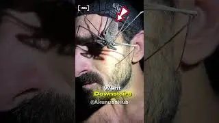 Tailless Whip Scorpion Jumps on Man at Night 😳