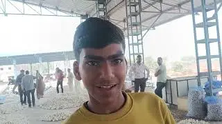 31 दिसंबर 2025 जीरन मंडी लहसुन भाव क्या रही तेजी-मंदी 🔥 आवक क्या कहते किसान अलविदा 2025