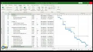 Microsoft Project 2021 Professional - Adding Milestone - Beginner