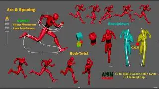 Best Run Cycle Reference for Animation