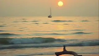 🌿 Soft Relaxing Folk Acoustic &ndash; Warm Ambient Guitar Music for Peaceful Calm & Light Serenity 🌙