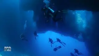 Group Travel Adventures with Eco Dive Center
